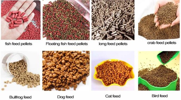  fish feed machine fish feed machine