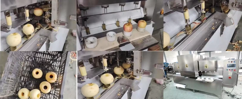 apple peeling and coring machine apple peeling and coring machine